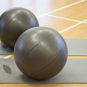 Gym balls