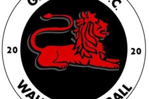 Celebrating Two Years of Garstang Lionesses