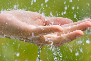 Rainwater Harvesting at the Health Club
